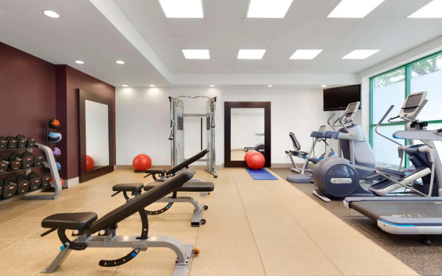 Embassy Suites by Hilton Tampa USF Near Busch Gardens