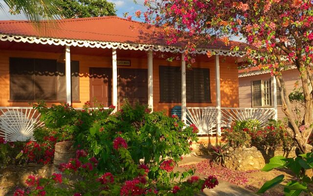 Little Bay Cabins