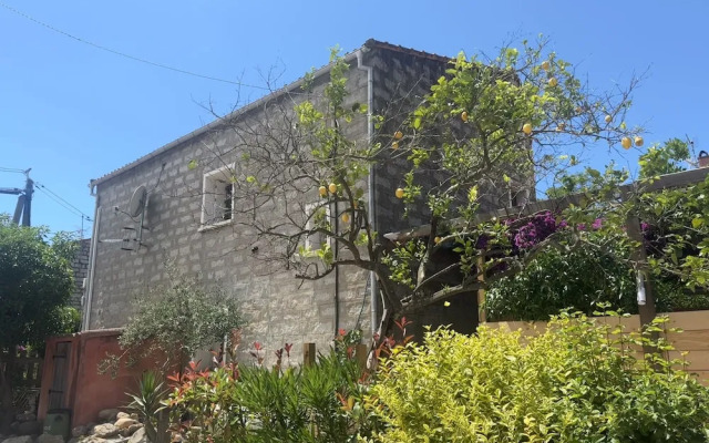 Chambres D'hôtes Terra Bella