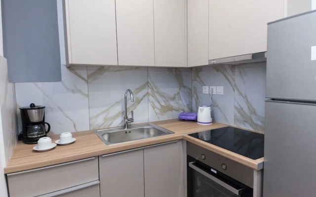 Stylish Brand New Apt at Megaro Mousikis