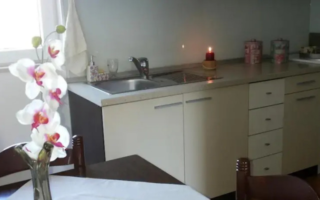 Apartment Arka