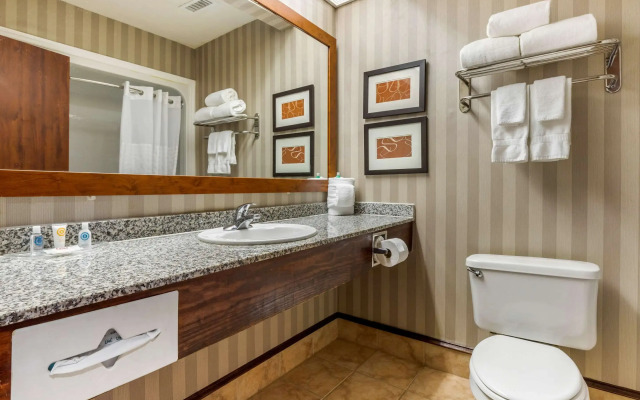 Comfort Inn Summerville - Charleston