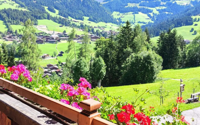 Schneiderhäusl-Larch