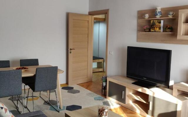 Modern and Cozy Apartment
