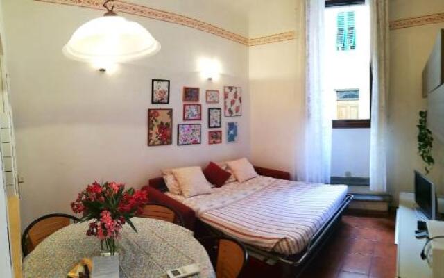 Grazioso Appartamento in Oltrarno a Firenze