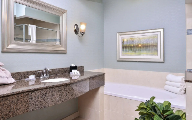 Hilton Garden Inn Jacksonville Downtown Southbank