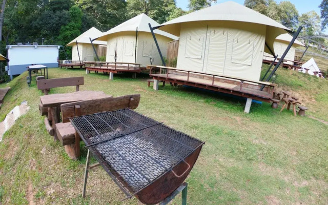 Pongyang Jungle Coaster Zipline Camp&Resort