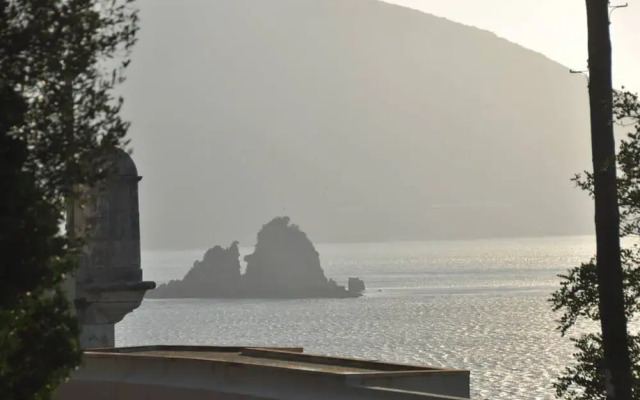 Pine Tree House in Azeit o