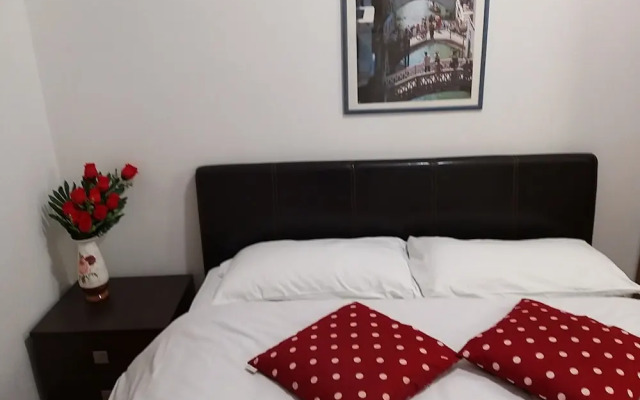 Venice Star House