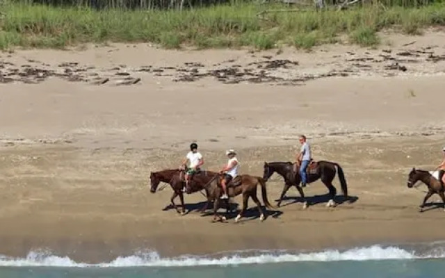 Secluded Beachfront Vibes Surf Pet Friendly