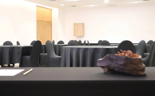 Wyndham Concepcion Pettra