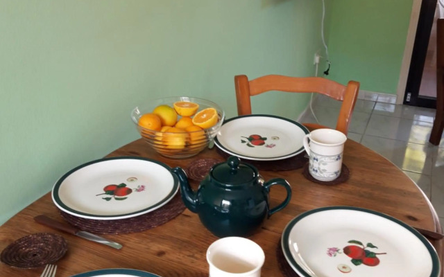 Palm garden paradise