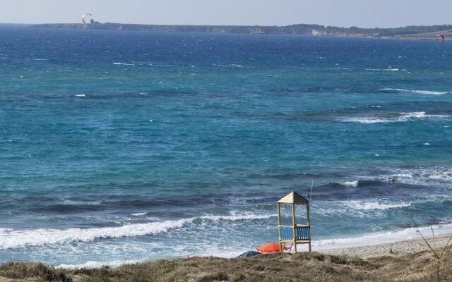 la corte degli ulivi