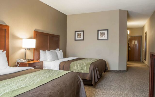 Comfort Inn Edinburg