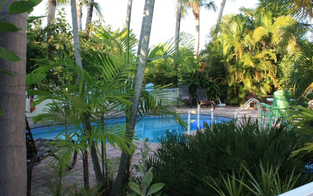 Palm Tree Villas