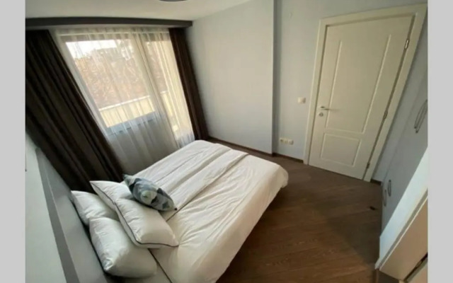 LUX 1BD/1BA City Center Apartment