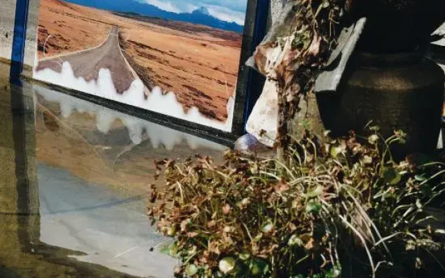 Season Faxian Designer Holiday Homestay