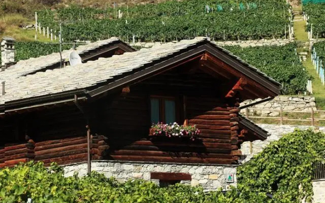 Agriturismo La Vrille