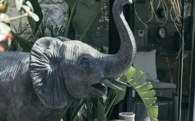 Primus Nefes Adults Only