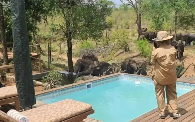 Khanya Conservation Camp