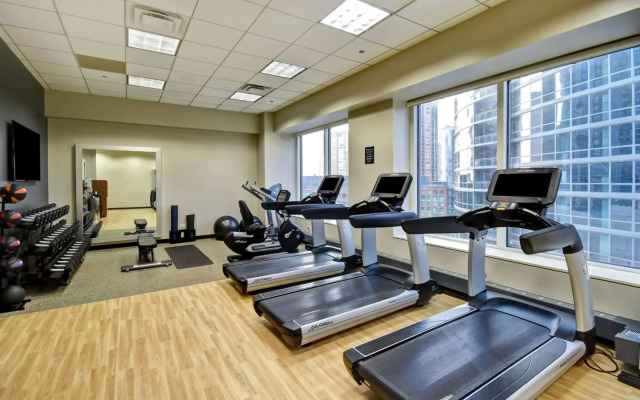 Embassy Suites by Hilton Chicago Downtown Magnificent Mile