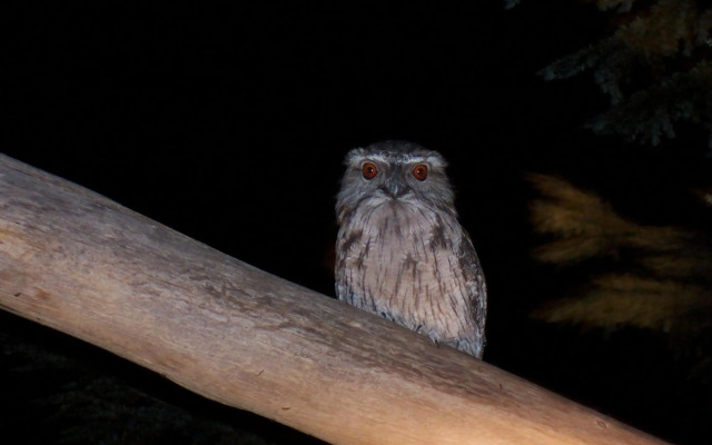 Silver Ridge Retreat