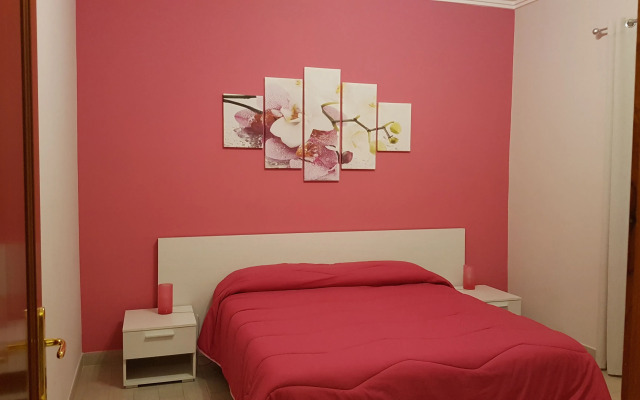 Il Giardino Di Stella