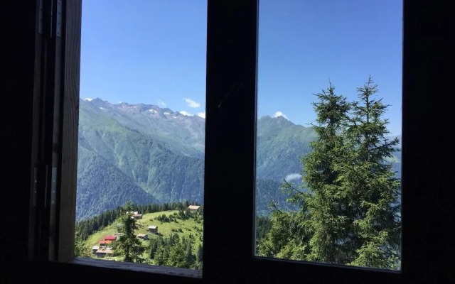 Pokut Orion