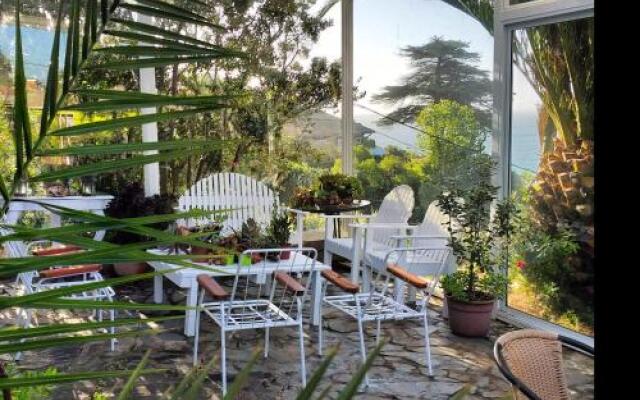 A Hotel Boutique Pelluhue