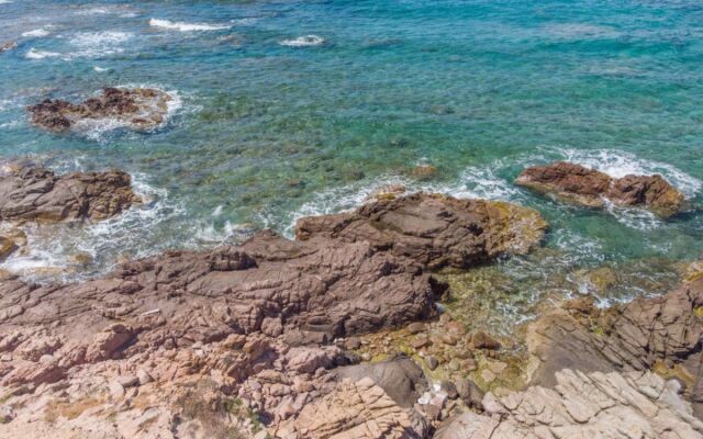 Locazione Turistica Sassicaia