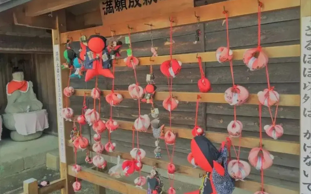 Guesthouse DARUMA - Hostel