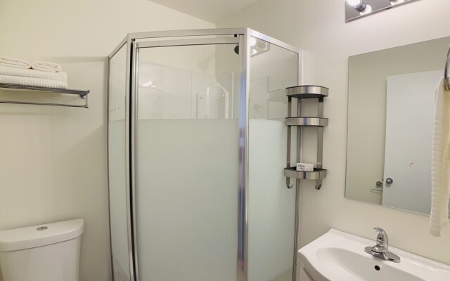 Old plum tree Style Suite