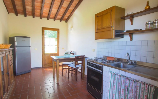 Ciliegiolo La Cava in La Cava