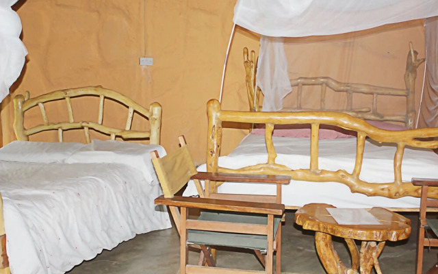 Oasis Eco Camp