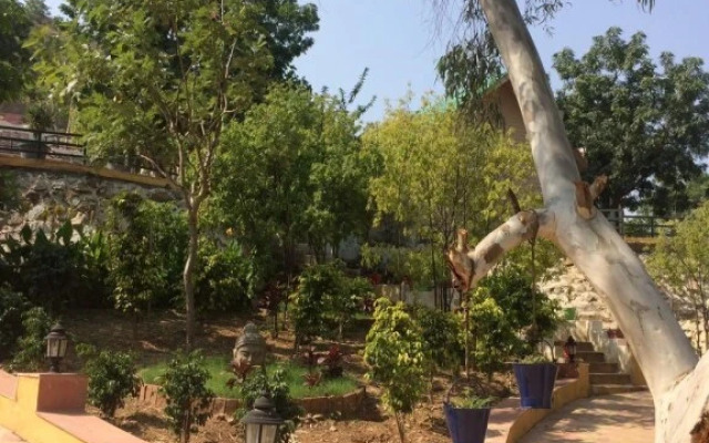 The Space Jungle Retreat