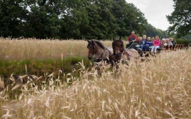 Hoeve Springendal