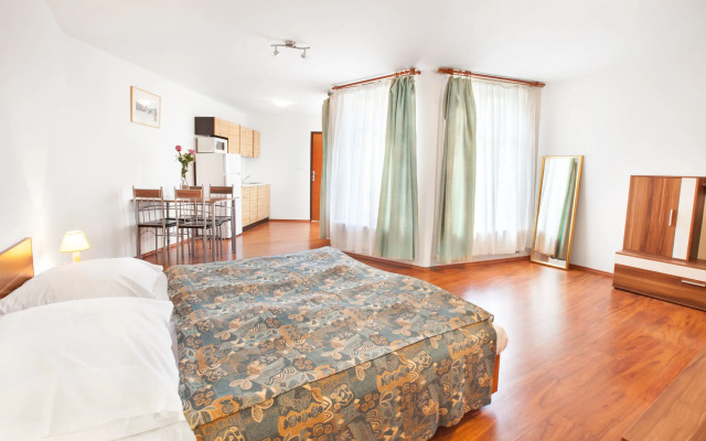 Apartment House Zizkov