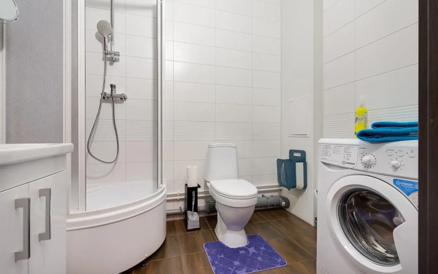 ВПитер на сутки на  улице Манчестерская