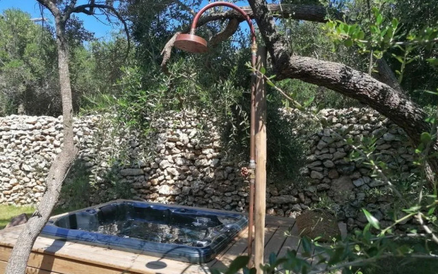 Les Suites Du Maquis