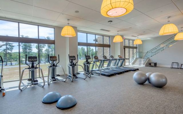 YO1 Longevity & Health Resorts, Catskills