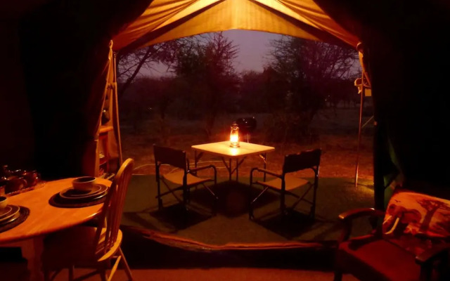 Thorn Tree Bush Camp