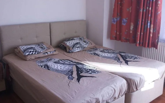 Adelante El Destino - Adults Only