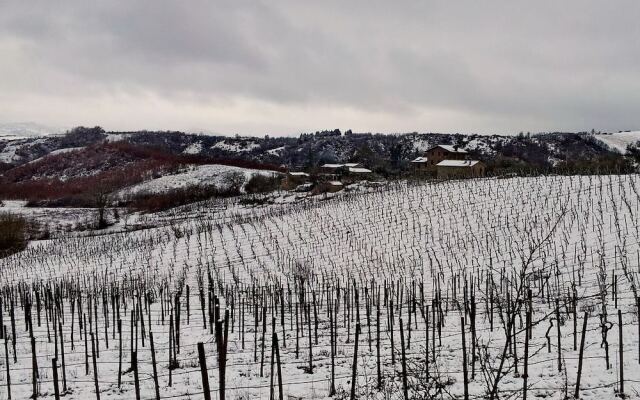 Agriturismo Le Vigne di Matteo