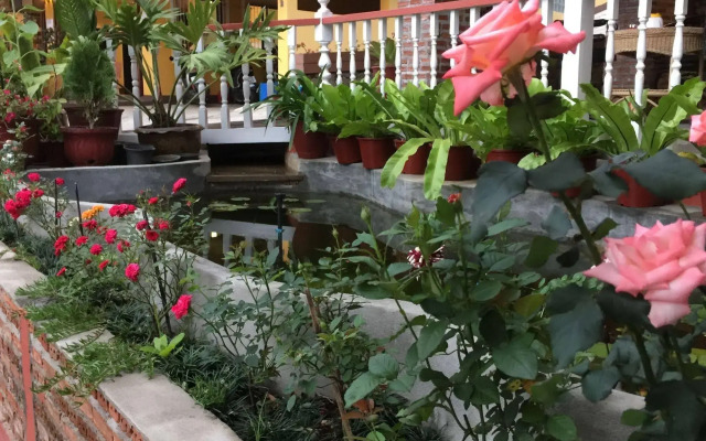 Shin Sane Guesthouse