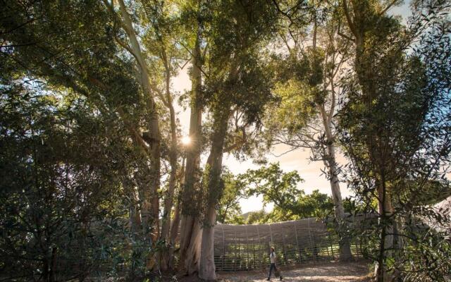 Babylonstoren