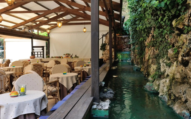 Hotel Salus
