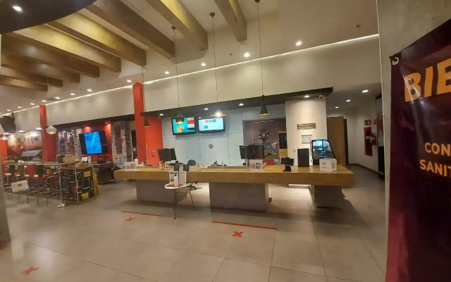 ibis Chihuahua