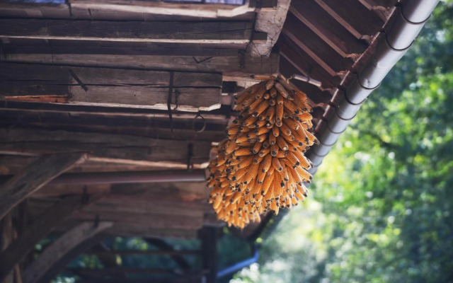 Turisticna Kmetija Seruga