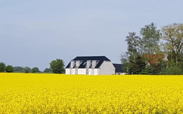 Roskilde B&B