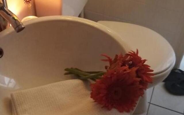 Appartement Sternblick